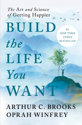 btlyw bestseller cover (1)